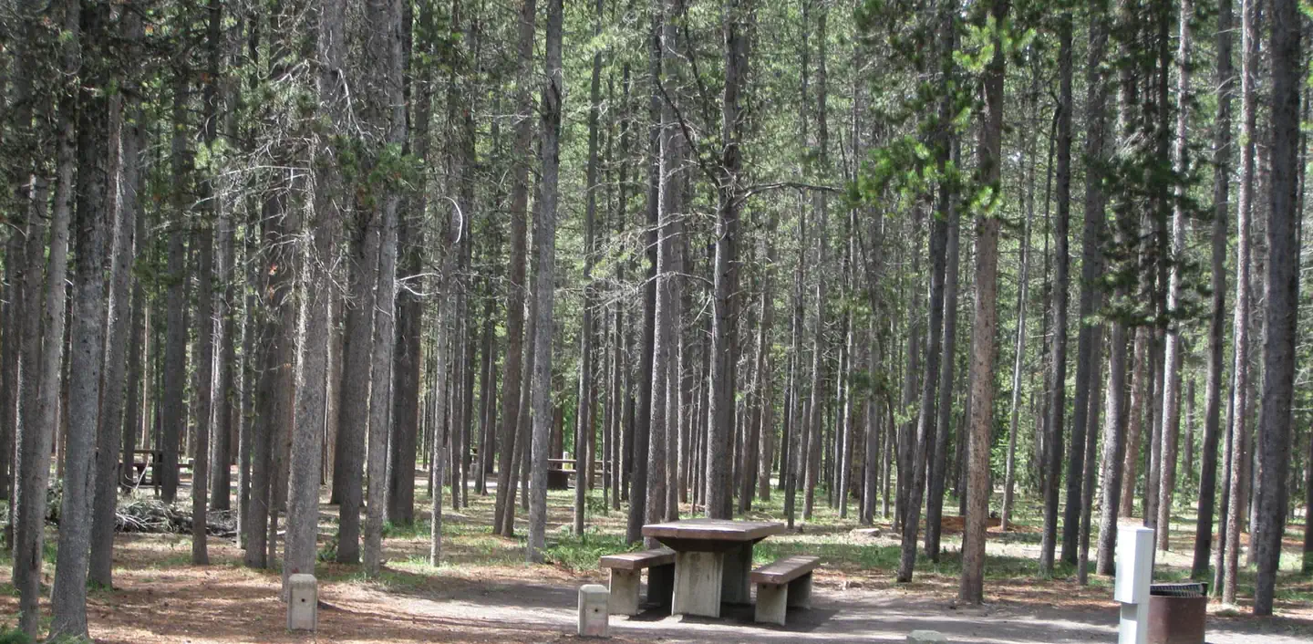 Rainbow Point Campground