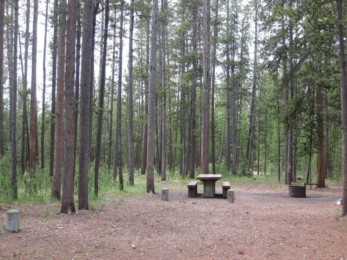 Rainbow Point Campground