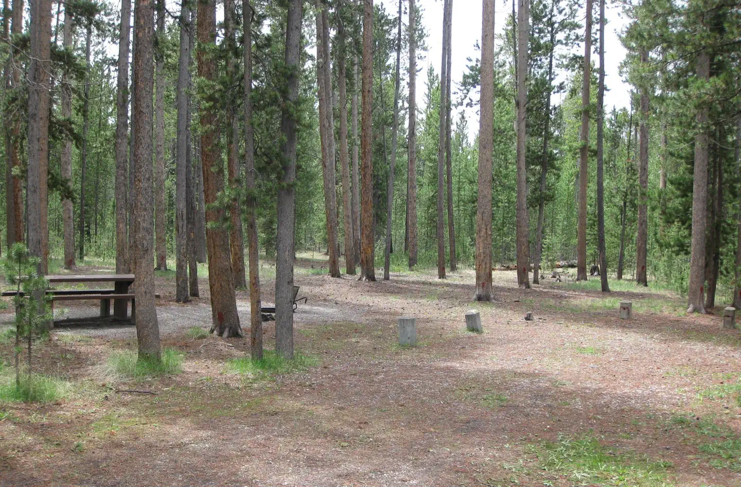 Rainbow Point Campground