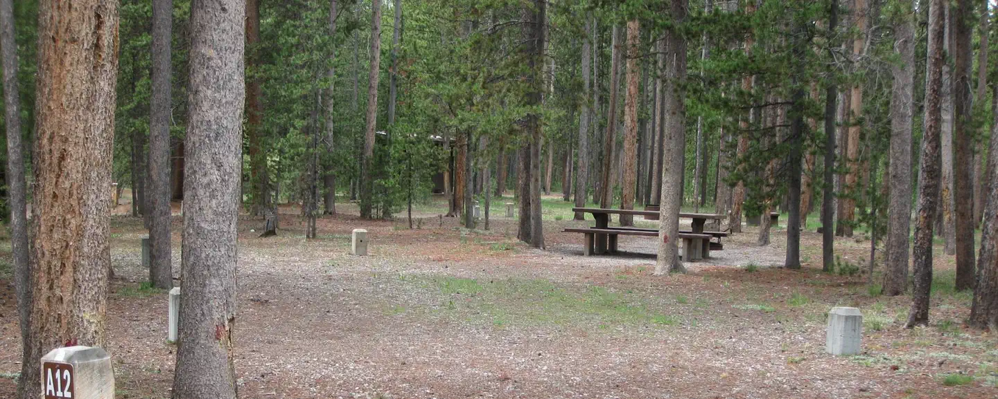 Rainbow Point Campground