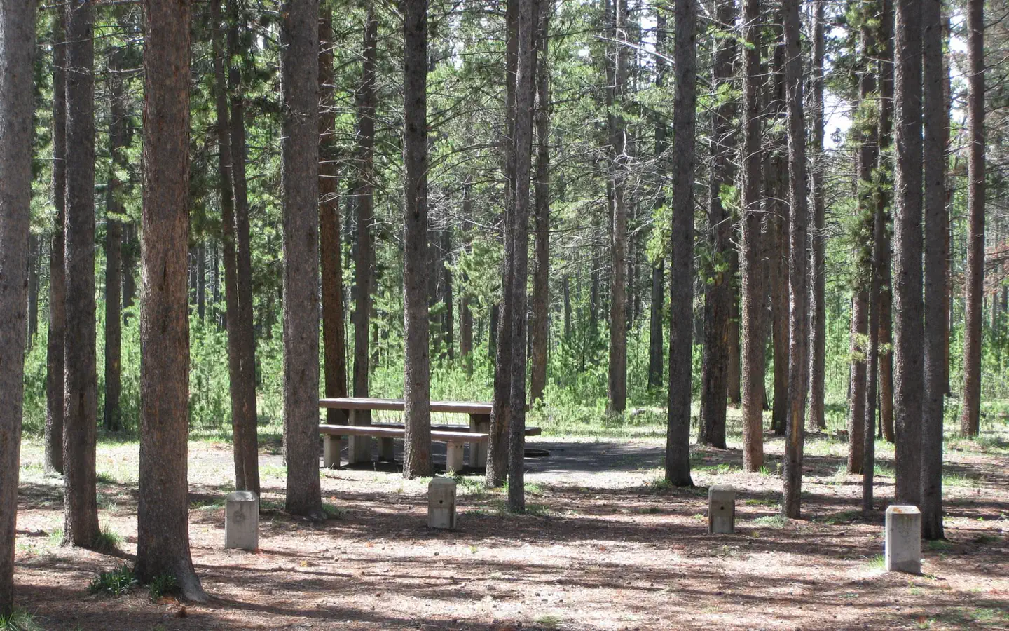 Rainbow Point Campground