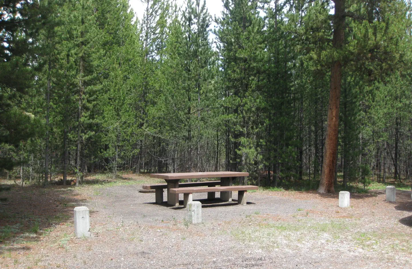 Rainbow Point Campground