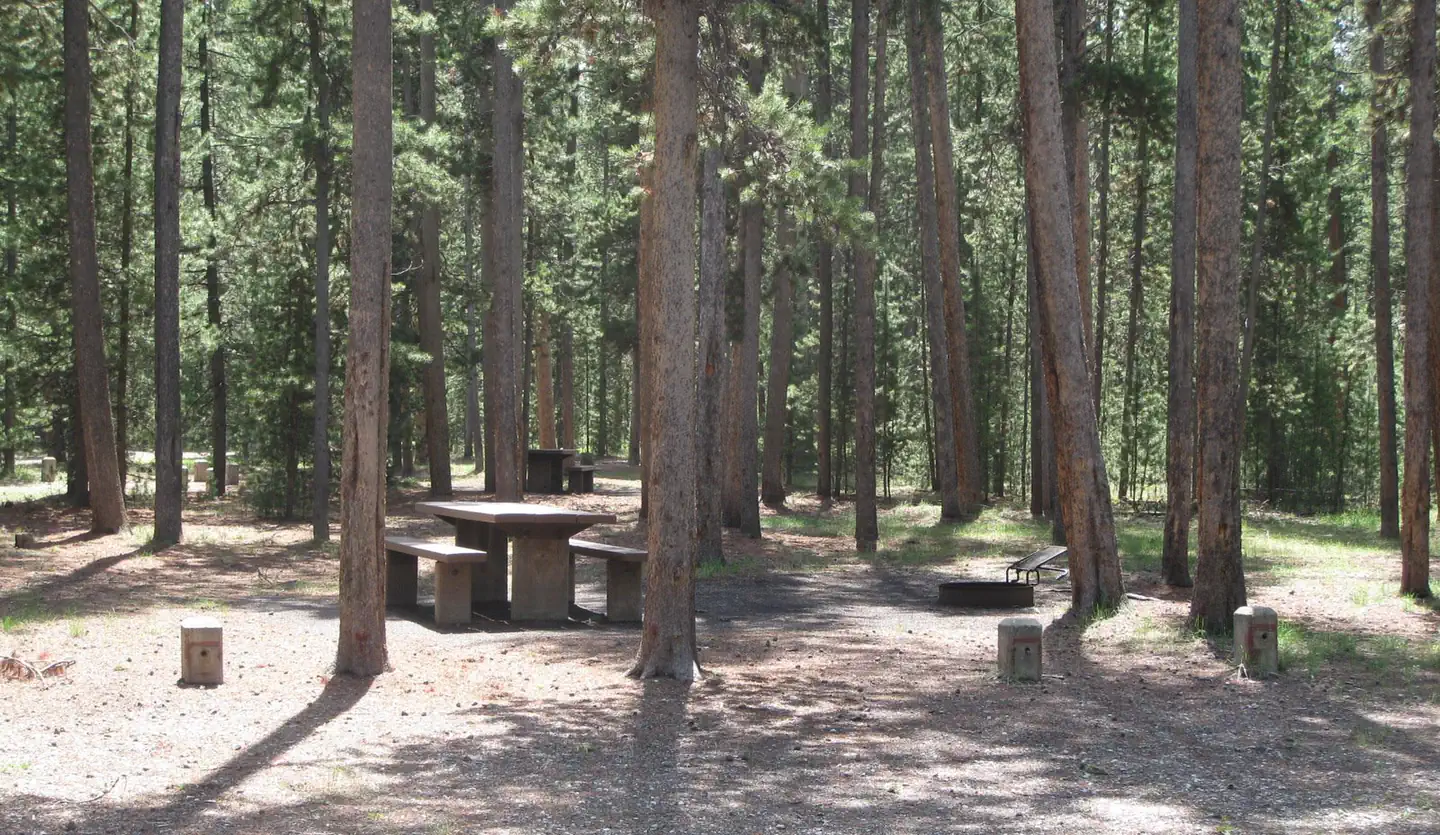 Rainbow Point Campground