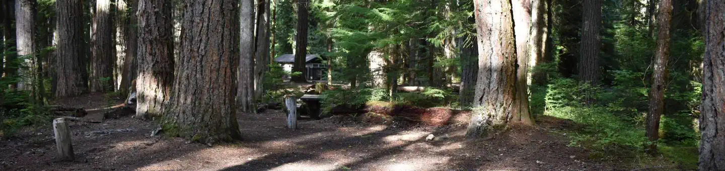 Ohanapecosh Campground
