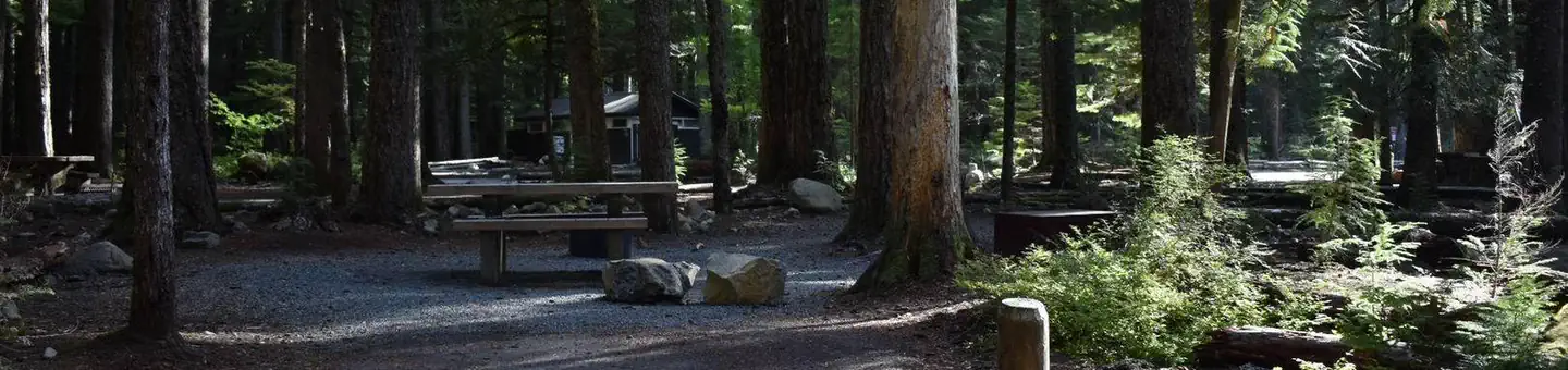 Ohanapecosh Campground