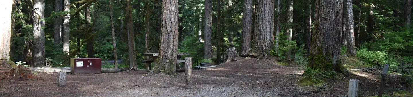 Ohanapecosh Campground
