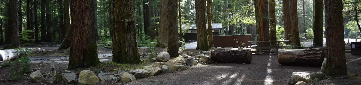 Ohanapecosh Campground