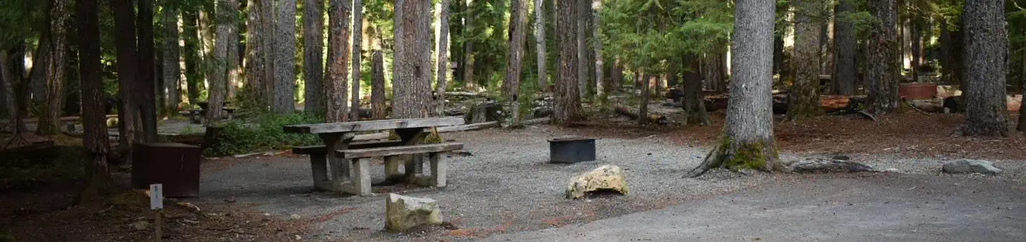 Ohanapecosh Campground