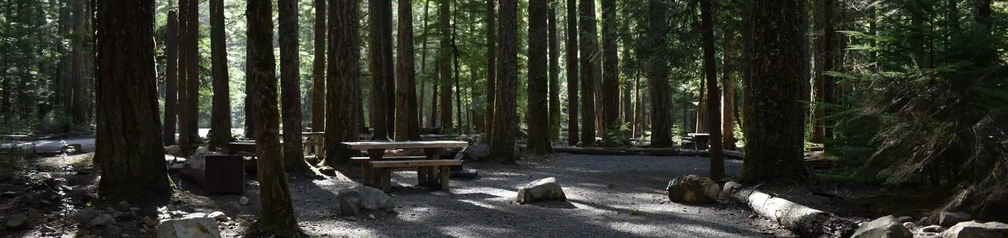 Ohanapecosh Campground