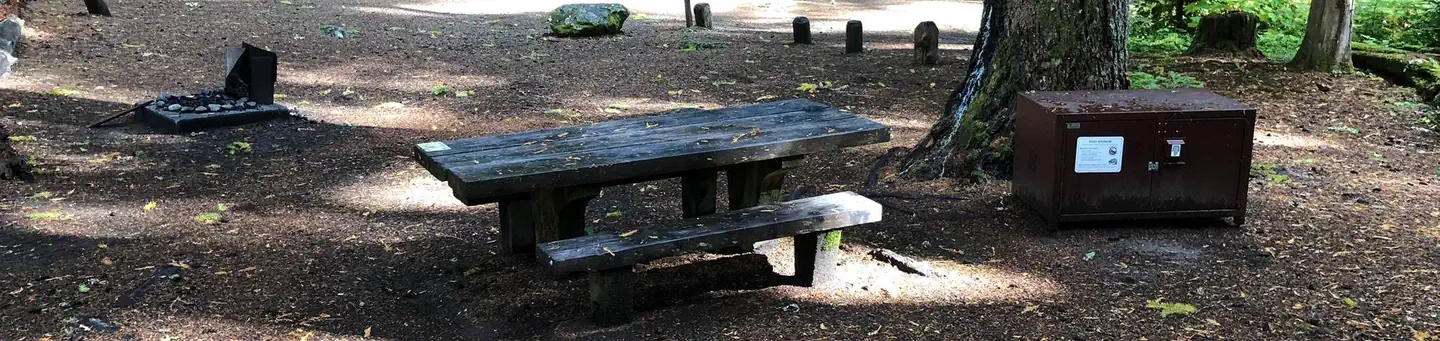 Ohanapecosh Campground