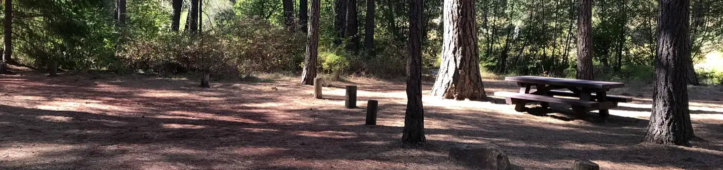 Allingham Campground