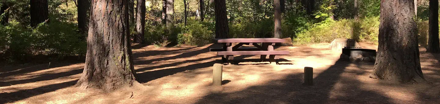 Allingham Campground