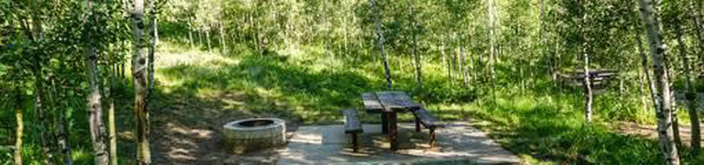 Aspen Grove (uinta-wasatch-cache National Forest, Ut)