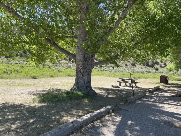 Gates of Lodore Campground