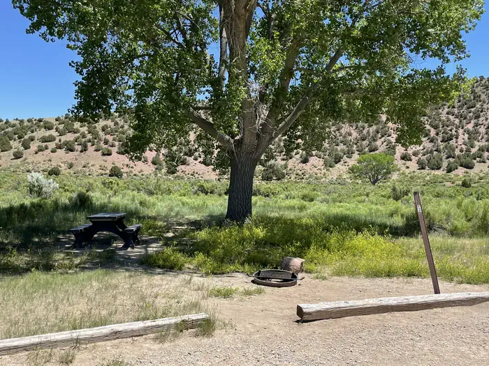 Gates of Lodore Campground