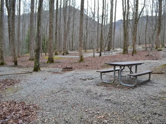 Cosby Campground