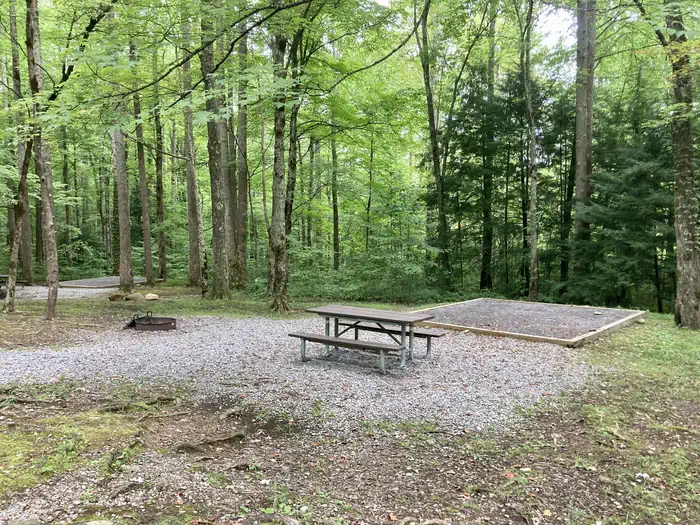 Cosby Campground