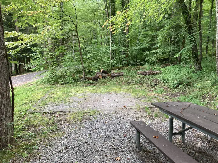 Cosby Campground