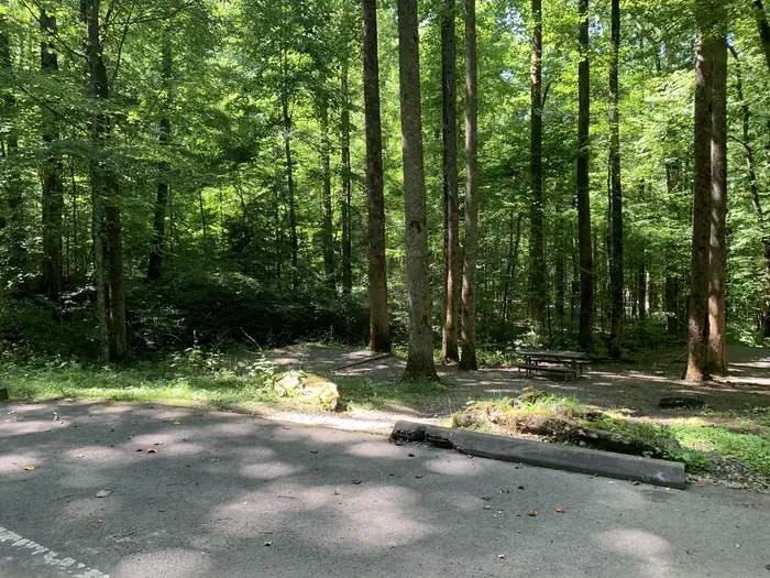 Cosby Campground