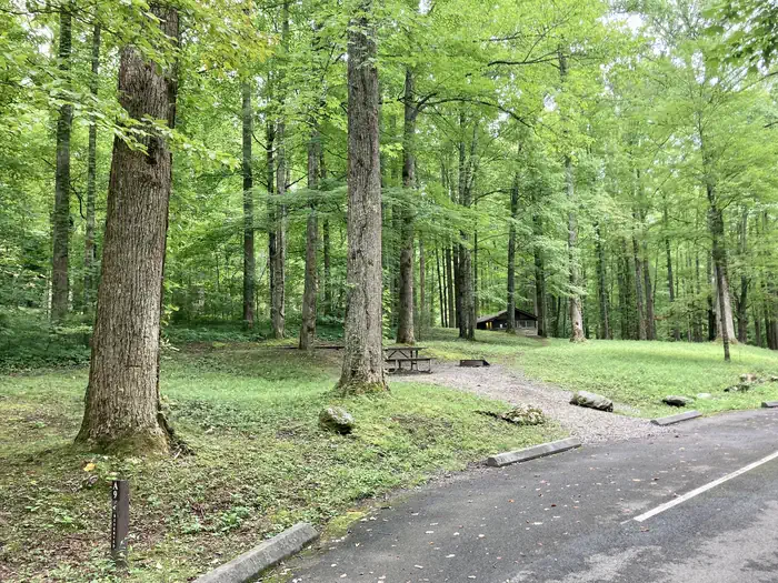Cosby Campground