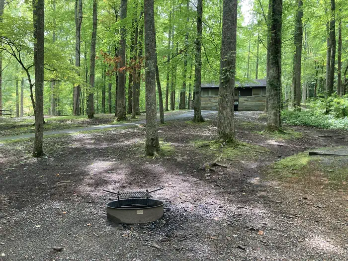 Cosby Campground