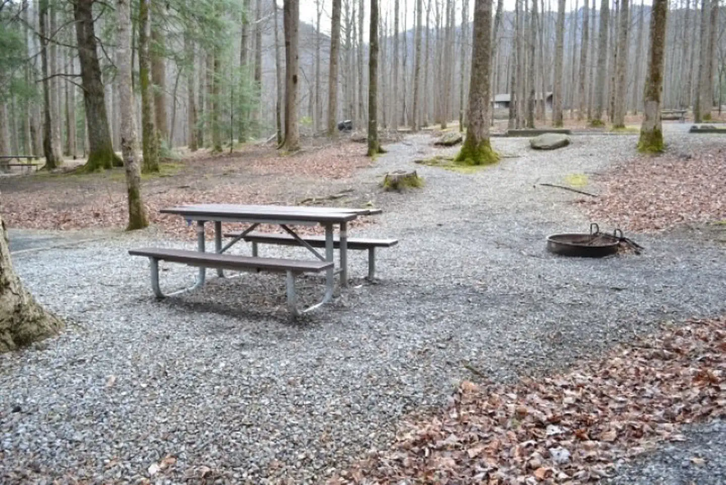Cosby Campground