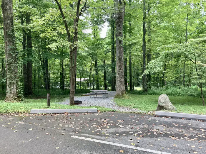 Cosby Campground