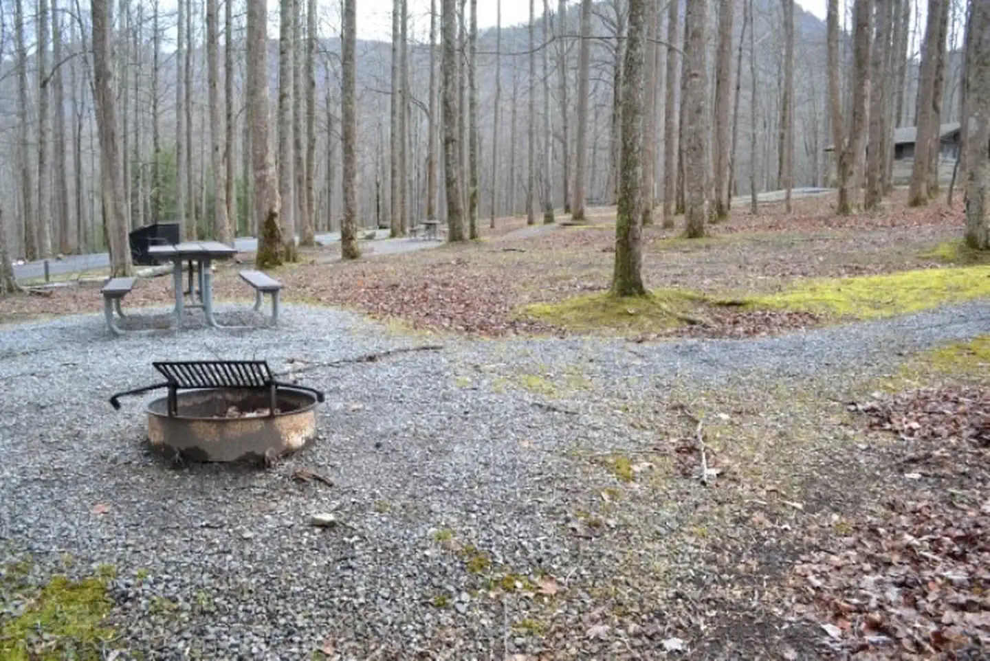 Cosby Campground