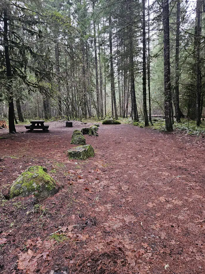 Toketee Lake Campground