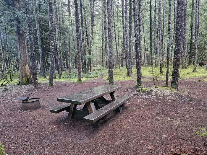 Toketee Lake Campground