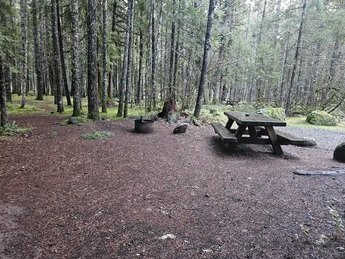 Toketee Lake Campground
