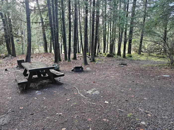 Toketee Lake Campground