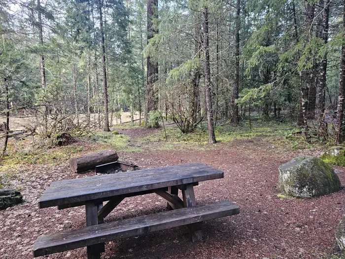 Toketee Lake Campground