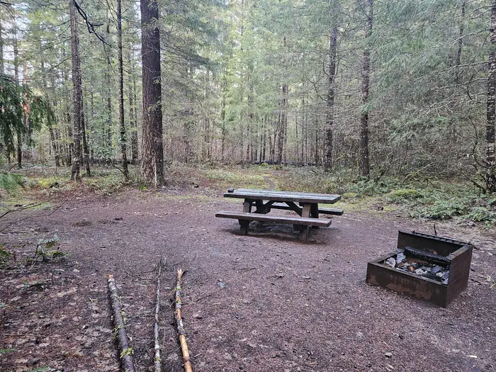 Toketee Lake Campground