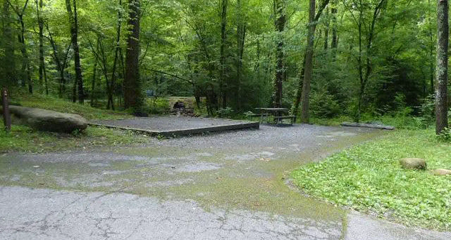 Elkmont Campground