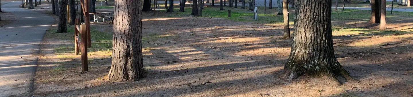 Cross Lake Recreation Area