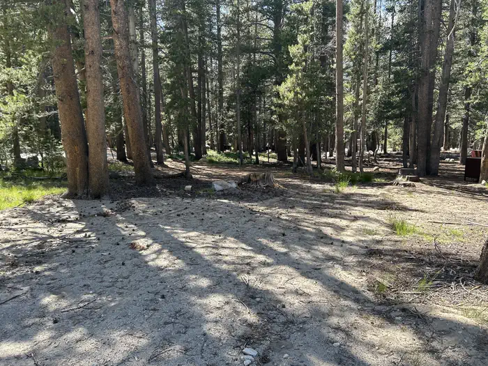 Tuolumne Meadows Campground