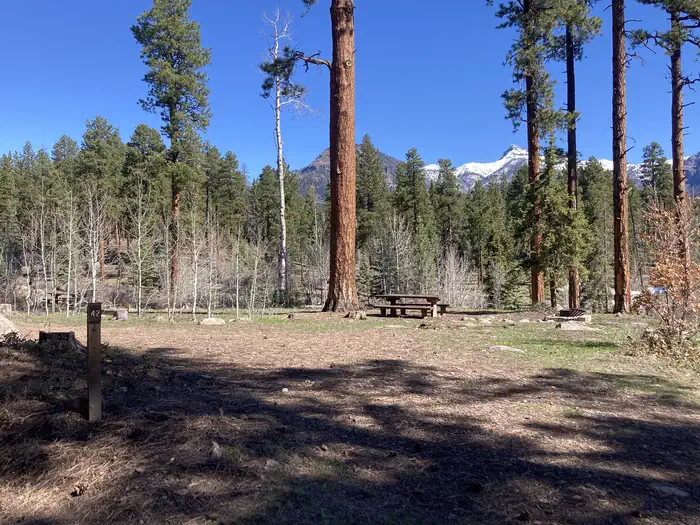 San Juan National Forest Williams Creek Campground