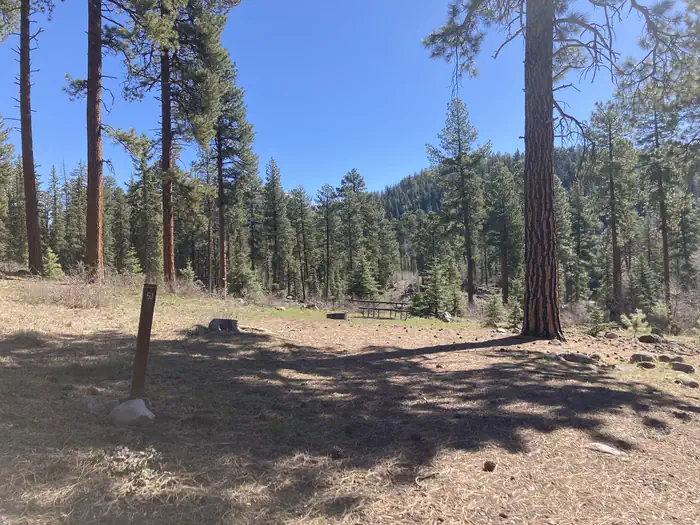 San Juan National Forest Williams Creek Campground