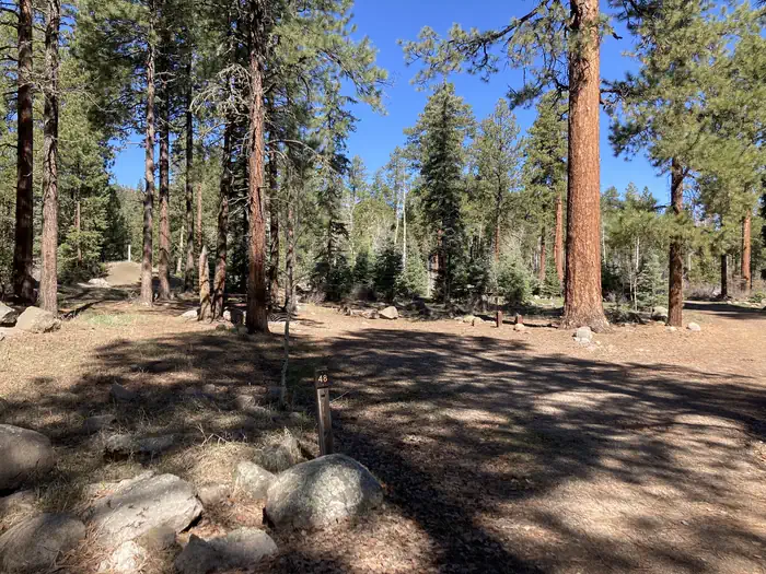 San Juan National Forest Williams Creek Campground