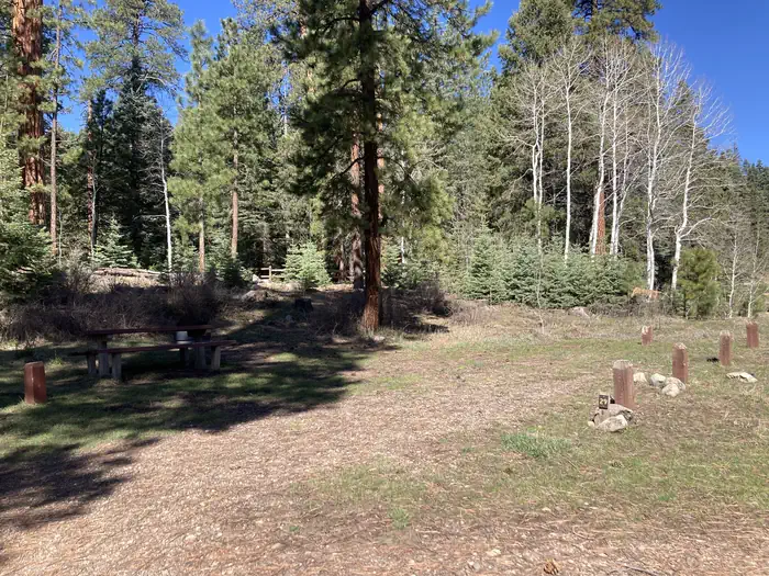 San Juan National Forest Williams Creek Campground