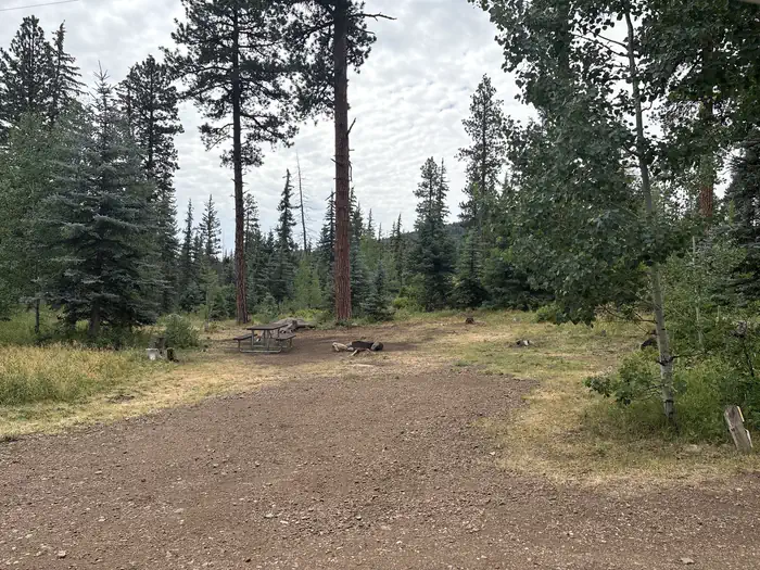 San Juan National Forest Williams Creek Campground