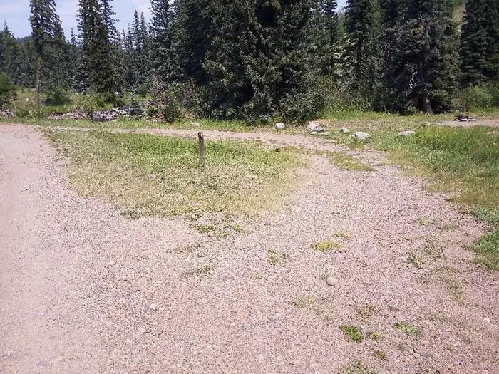 San Juan National Forest Williams Creek Campground