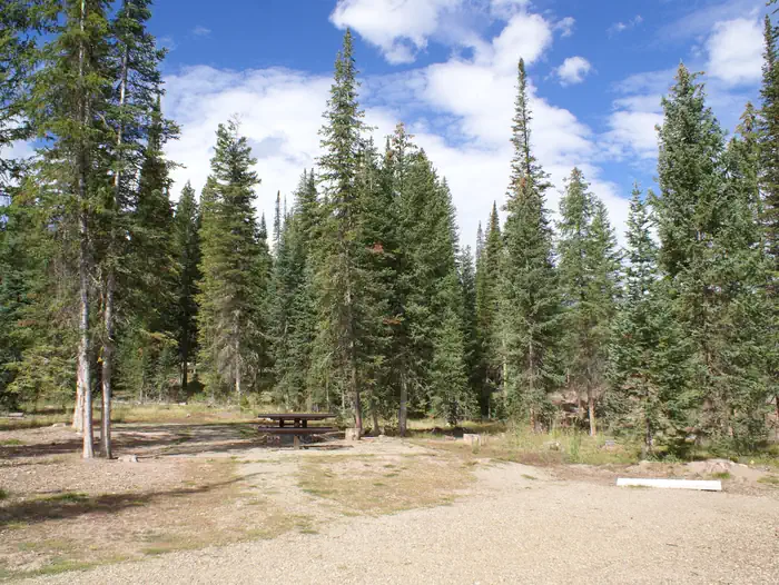 Routt National Forest Hahns Peak Lake Campground