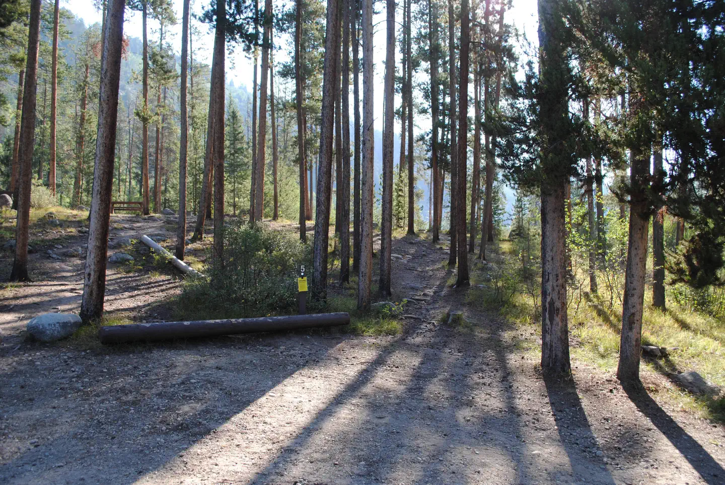Chapman Campground And Group Camp - White River NF