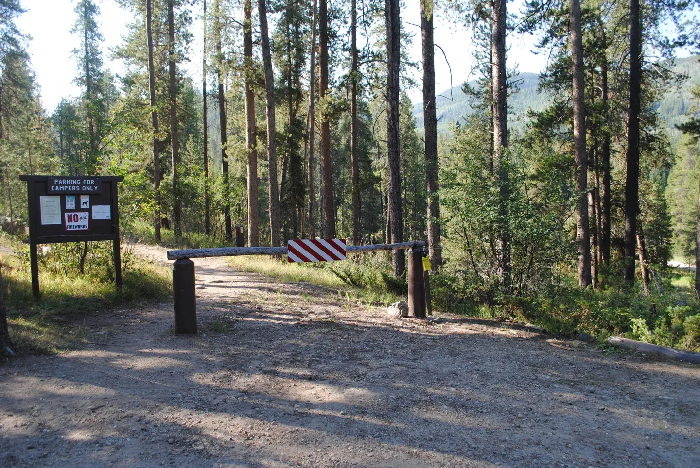 Chapman Campground And Group Camp - White River NF
