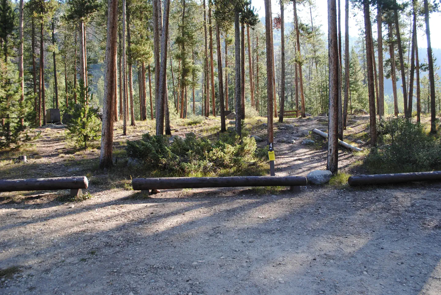 Chapman Campground And Group Camp - White River NF