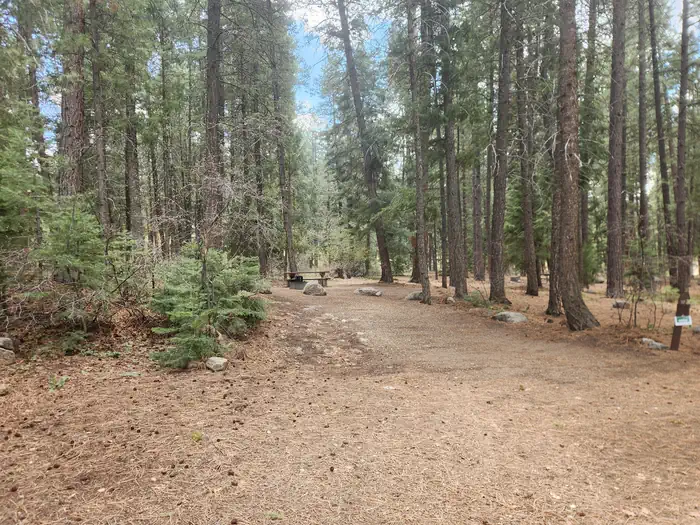 Pine Point Campground