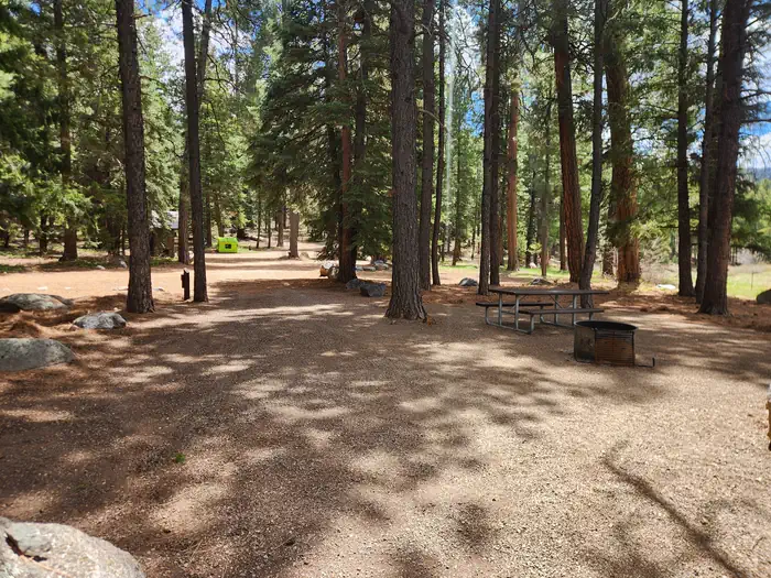Pine Point Campground