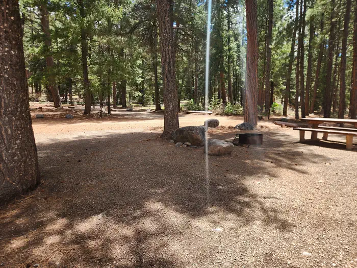 Pine Point Campground